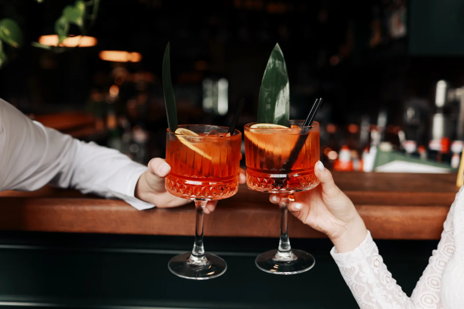 two people touching cocktail glasses together over a bar counter — owner resources for restaurant and bar operators