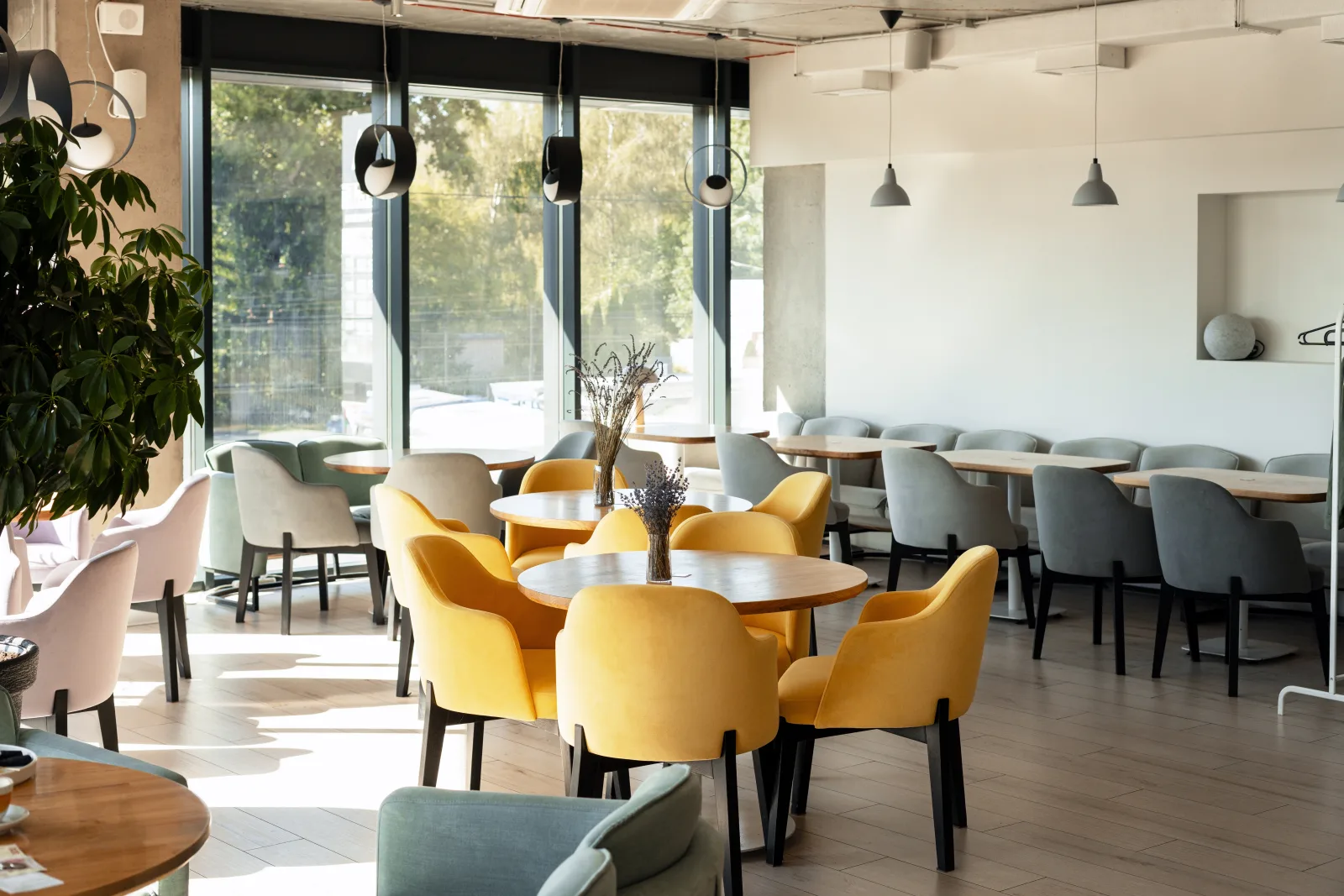 a bright dining room with yellow armchairs and full-height windows — restaurant insurance in Kentucky